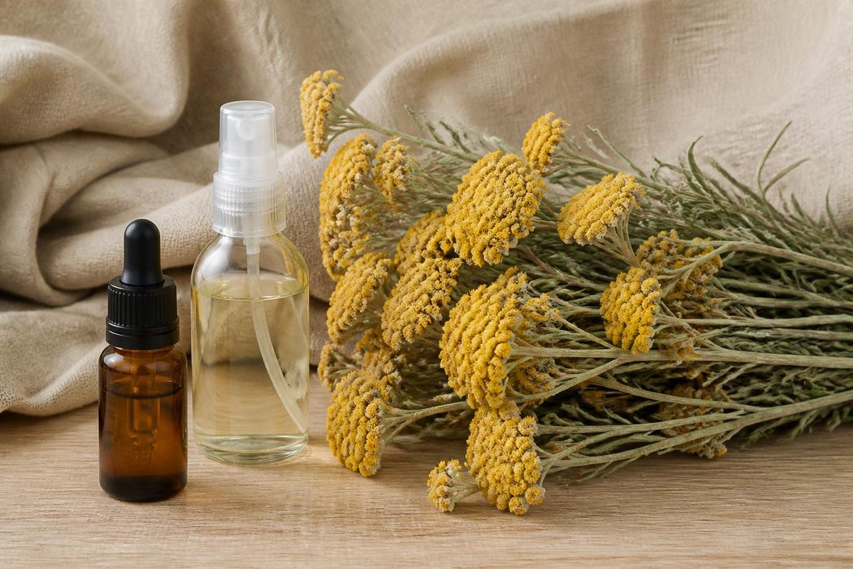 Flacon d'huile essentielle d'hélichryse italienne et hydrolat en spray à côté d'un bouquet d'immortelle